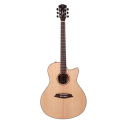 LARRY CARLTON A3 GS NAT