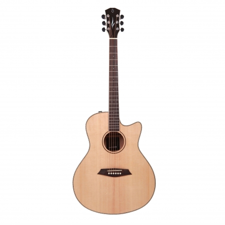 LARRY CARLTON A3 GS NAT