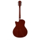 LARRY CARLTON A3 GS NAT