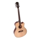 LARRY CARLTON A3 GS NAT