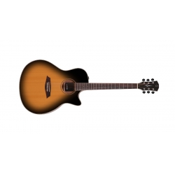 LARRY CARLTON A3 GS VSB