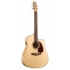 SEAGULL PERFORMER CW Flame maple HG QI avec housse