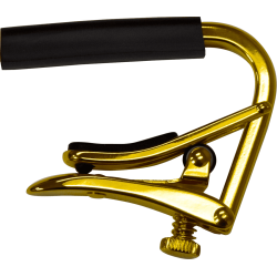 SHUBB CAPO GOLD BANJO