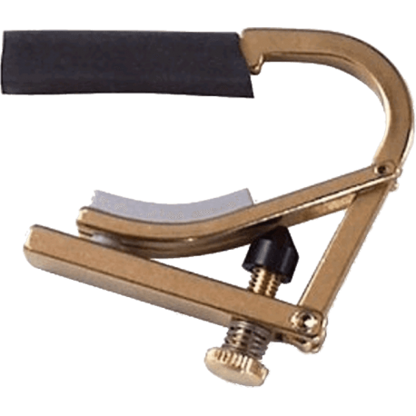 SHUBB CAPO PARTIEL 5 CORDES