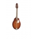SEAGULL S8 Mandoline Burnt Amber SG