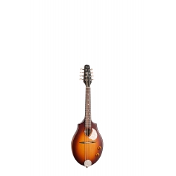SEAGULL S8 Sunburst EQ