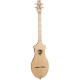 SEAGULL M4 Spruce EQ