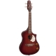 SEAGULL Uke Steel SG Burst EQ