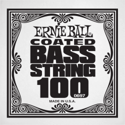 ERNIE BALL Slinky coated 100