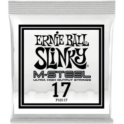 ERNIE BALL Slinky m-steel 17