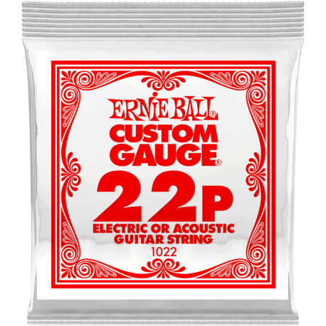ERNIE BALL Slinky nickel wound 22