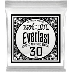 ERNIE BALL Everlast coated phophore bronze 30