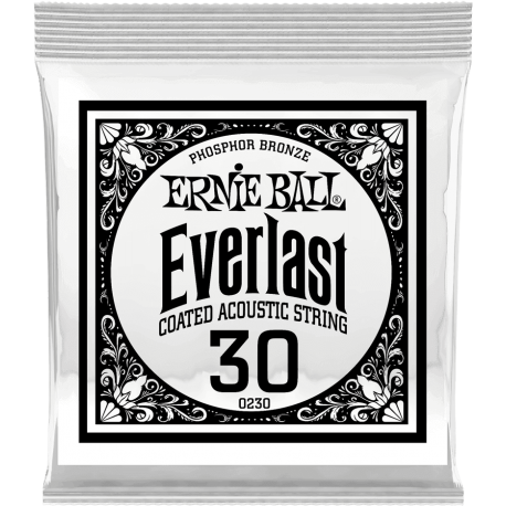 ERNIE BALL Everlast coated phophore bronze 30