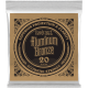 ERNIE BALL Aluminium bronze 20