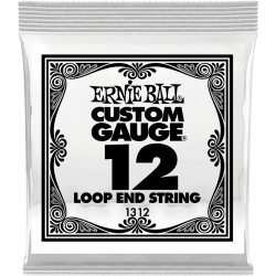 ERNIE BALL Stainless steel 12