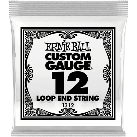 ERNIE BALL Stainless steel 12