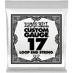 ERNIE BALL Stainless steel 17