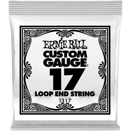 ERNIE BALL Stainless steel 17