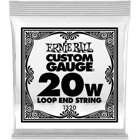 ERNIE BALL Stainless steel 20