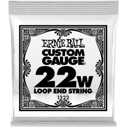 ERNIE BALL Stainless steel 22