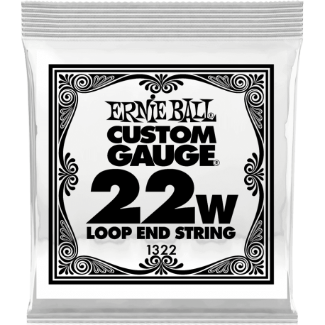 ERNIE BALL Stainless steel 22