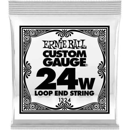 ERNIE BALL Stainless steel 24