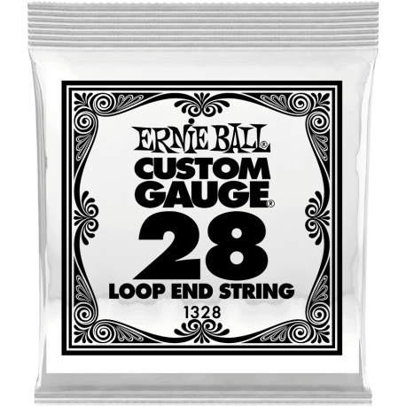 ERNIE BALL Stainless steel 28