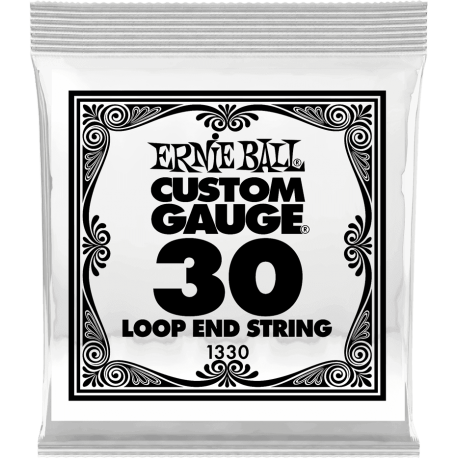 ERNIE BALL Stainless steel 30