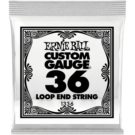 ERNIE BALL Stainless steel 36