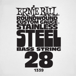 ERNIE BALL Slinky stainless steel 28