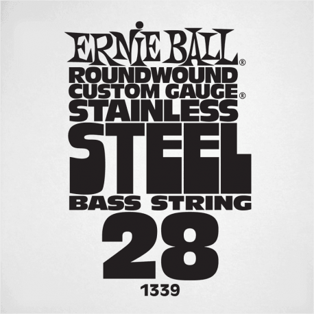 ERNIE BALL Slinky stainless steel 28