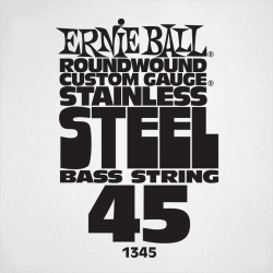 ERNIE BALL Slinky stainless steel 45
