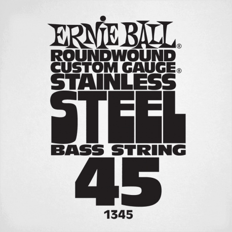 ERNIE BALL Slinky stainless steel 45