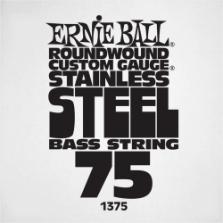 ERNIE BALL Slinky stainless steel 75