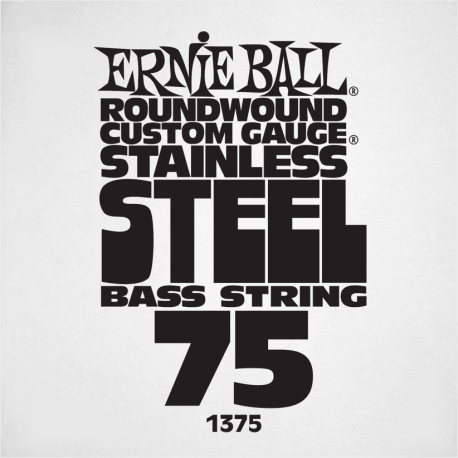 ERNIE BALL Slinky stainless steel 75