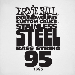 ERNIE BALL Slinky stainless steel 95