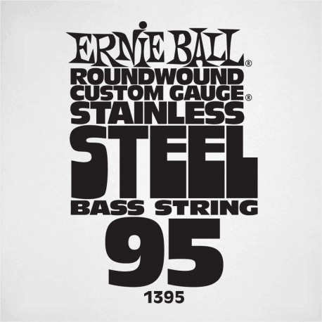 ERNIE BALL Slinky stainless steel 95