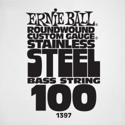 ERNIE BALL Slinky stainless steel 100