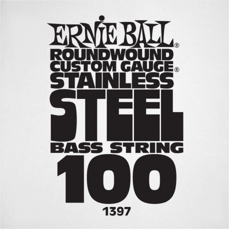 ERNIE BALL Slinky stainless steel 100