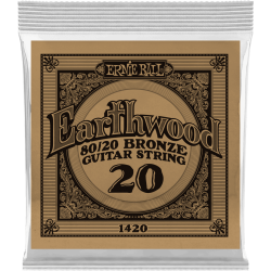 ERNIE BALL Earthwood 80/20 bronze 20