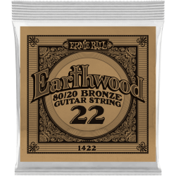 ERNIE BALL Earthwood 80/20 bronze 22