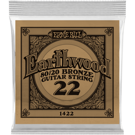 ERNIE BALL Earthwood 80/20 bronze 22