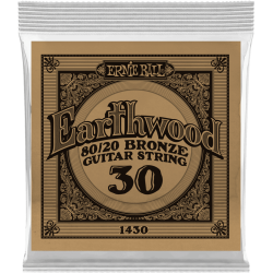 ERNIE BALL Earthwood 80/20 bronze 30