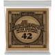 ERNIE BALL Earthwood 80/20 bronze 42