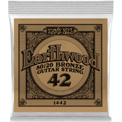 ERNIE BALL Earthwood 80/20 bronze 42