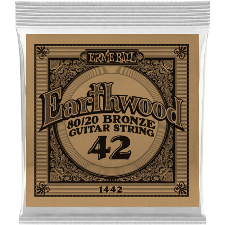 ERNIE BALL Earthwood 80/20 bronze 42