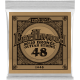 ERNIE BALL Earthwood 80/20 bronze 48