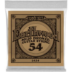 ERNIE BALL Earthwood 80/20 bronze 54
