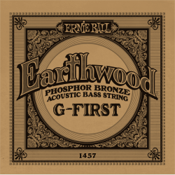 ERNIE BALL Earthwood - basse acoustique phosphore bronze 45