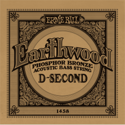 ERNIE BALL Earthwood - basse acoustique phosphore bronze 55